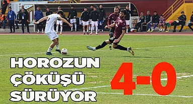 HOROZUN ÇÖKÜŞÜ SÜRÜYOR