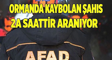 Ormanda kaybolan şahıs 2a saattir aranıyor