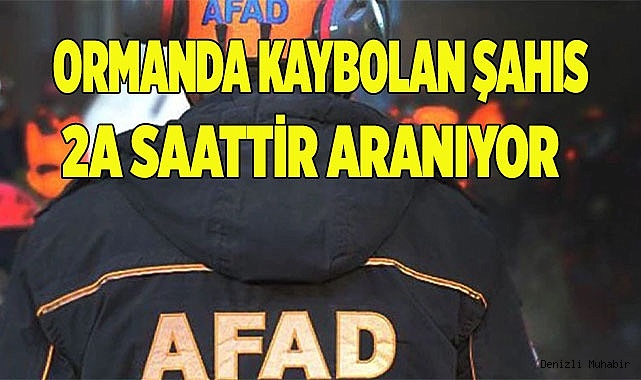 Ormanda kaybolan şahıs 2a saattir aranıyor