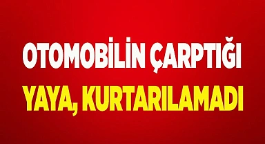 Otomobilin çarptığı yaya hayatını kaybetti