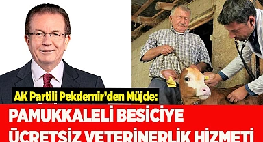 PAMUKKALELİ BESİCİYE ÜCRETSİZ VETERİNERLİK HİZMETİ