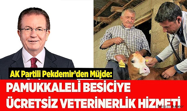 PAMUKKALELİ BESİCİYE ÜCRETSİZ VETERİNERLİK HİZMETİ