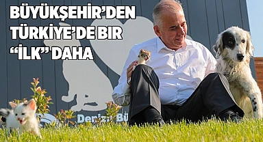 Sokak hayvanları için SMS’li bilgilendirme dönemi başladı