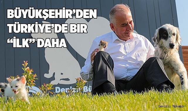 Sokak hayvanları için SMS’li bilgilendirme dönemi başladı