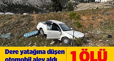 Sürücüsü araç içinde yanarak can verdi