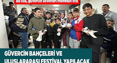 Güvercin Bahçeleri ve Uluslararası Festival yapılacak