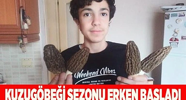 Kuzugöbeğinde sezon erken başladı