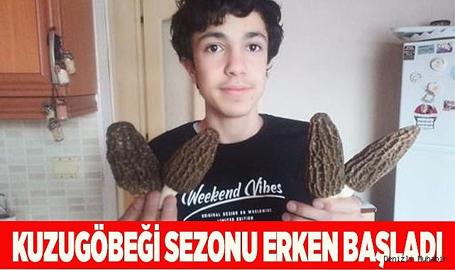 Kuzugöbeğinde sezon erken başladı