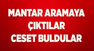 Mantar aramaya çıktı, güvenlikçinin cesedini buldu