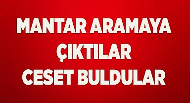 Mantar aramaya çıktı, güvenlikçinin cesedini buldu