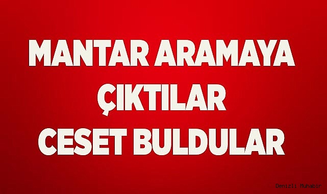 Mantar aramaya çıktı, güvenlikçinin cesedini buldu