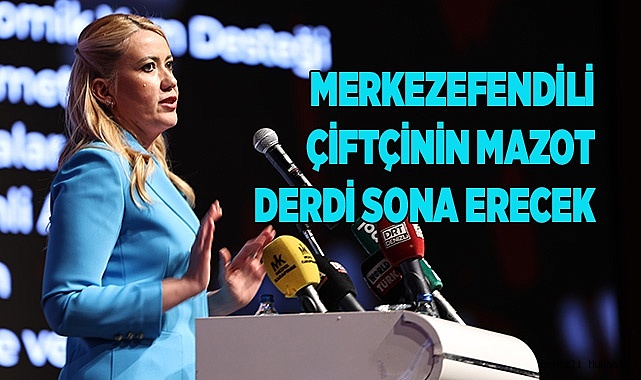 MERKEZEFENDİLİ ÇİFTÇİNİN MAZOT DERDİ SONA ERECEK