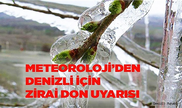 Meteoroloji Denizli için zirai don uyarısı verdi