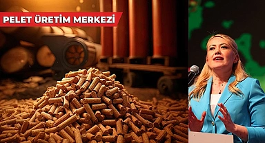 ŞENİZ DOĞAN, PELET ÜRETİM MERKEZİ KURACAK