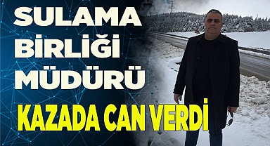 Sulama Birliği Müdürü kazada hayatını kaybetti