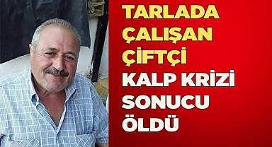 Tarlada çalışan çiftçi kalp krizi sonucu yaşamını yitirdi