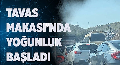 TAVAS MAKASI’NDA YOĞUNLUK BAŞLADI