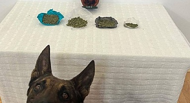 Çantadan çıkan kavanozda esrar yakalandı