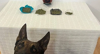 Çantadan çıkan kavanozda esrar yakalandı