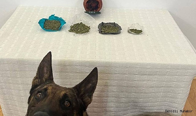 Çantadan çıkan kavanozda esrar yakalandı