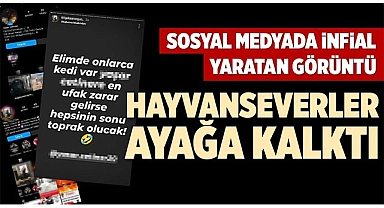 DENİZLİ'DE HAYVANSEVERLER AYAĞA KALKTI