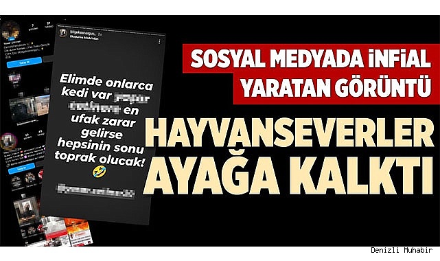 DENİZLİ'DE HAYVANSEVERLER AYAĞA KALKTI