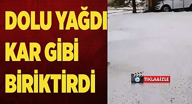 Dolu yağışı meyve ağaçları ve ekili arazilere zarar verdi