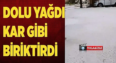 Dolu yağışı meyve ağaçları ve ekili arazilere zarar verdi