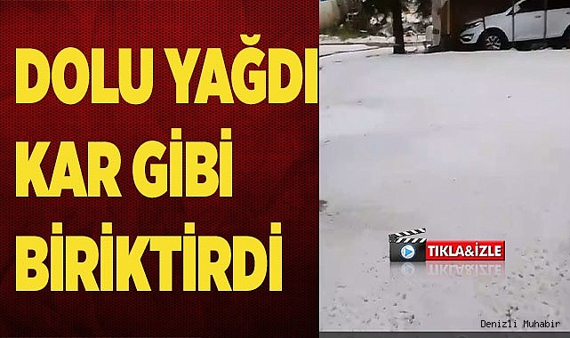 Dolu yağışı meyve ağaçları ve ekili arazilere zarar verdi