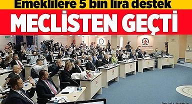 Emekli ve yenidoğanlara destek kararı meclisten geçti