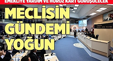 EMEKLİYE YARDIM VE HOROZ KART GÖRÜŞÜLECEK