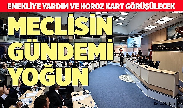 EMEKLİYE YARDIM VE HOROZ KART GÖRÜŞÜLECEK