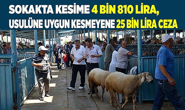 SOKAKTA KURBAN KESENE 4 BİN 810 LİRA CEZA