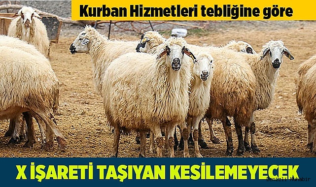 ​​​​​​​X İŞARETİ TAŞIYAN KESİLEMEYECEK