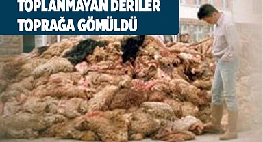 Bu yıl deriler elde kaldı