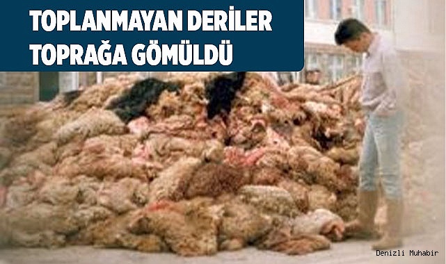 Bu yıl deriler elde kaldı