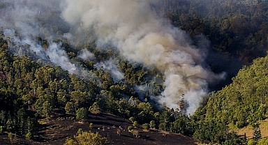 Çal’daki orman yangını kontrol altına alındı