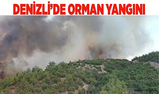 Denizli’de orman yangını