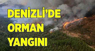 Denizli'de orman yangını