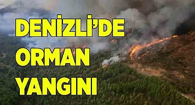 Denizli'de orman yangını