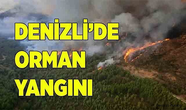 Denizli'de orman yangını