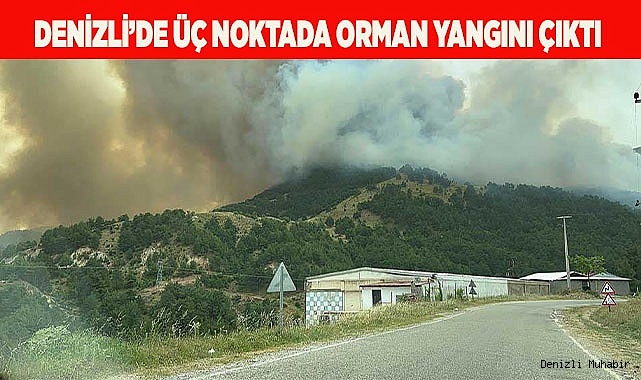 Denizli’de üç noktada orman yangını çıktı