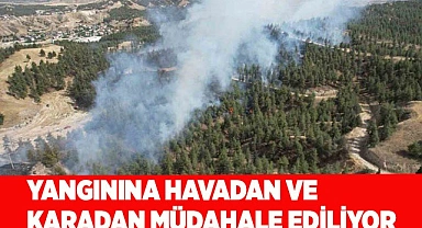 Denizli’deki orman yangınına havadan ve karadan müdahale ediliyor