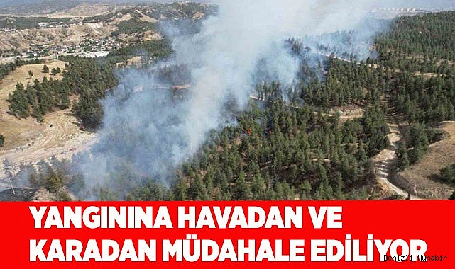 Denizli’deki orman yangınına havadan ve karadan müdahale ediliyor
