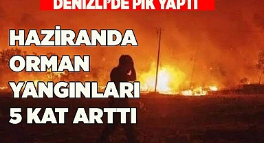 HAZİRANDA ORMAN YANGINLARI 5 KAT ARTTI