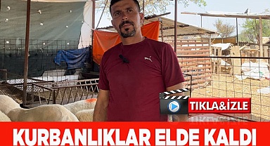 KURBANLIKLAR ELDE KALDI