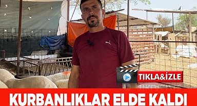 KURBANLIKLAR ELDE KALDI