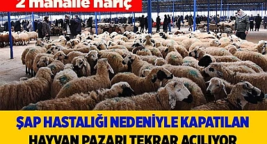 Şap hastalığı nedeniyle kapatılan hayvan pazarı tekrar açılıyor