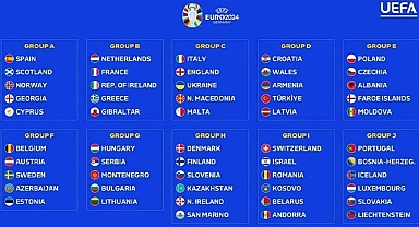 Türkiye Euro 2024 Grubu