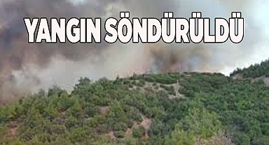 Yangın söndürüldü